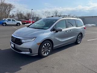 2024 Honda Odyssey for sale in Johnson City TN