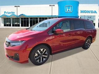 2025 Honda Odyssey for sale in Roanoke VA