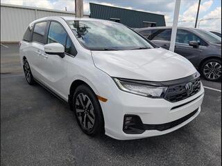 2026 Honda Odyssey for sale in Bowling Green KY