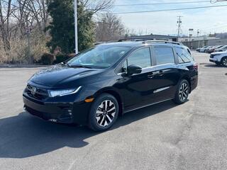 2026 Honda Odyssey for sale in Johnson City TN