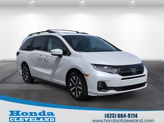 2026 Honda Odyssey for sale in Cleveland TN