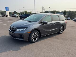 2026 Honda Odyssey for sale in Johnson City TN