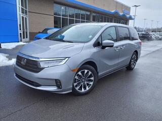 2024 Honda Odyssey for sale in Gallatin TN