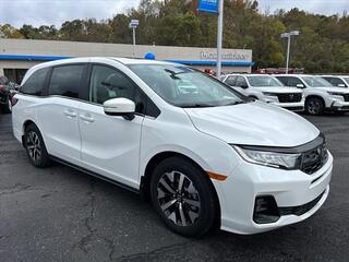 2025 Honda Odyssey for sale in Bridgeport WV