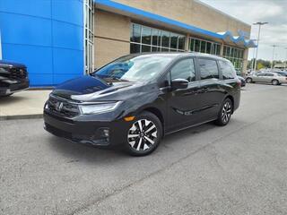 2025 Honda Odyssey for sale in Gallatin TN