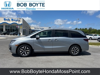 2025 Honda Odyssey for sale in Moss Point MS