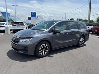 2026 Honda Odyssey for sale in Johnson City TN