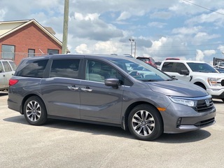 2024 Honda Odyssey for sale in Chattanooga TN