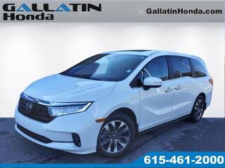 2024 Honda Odyssey for sale in Gallatin TN