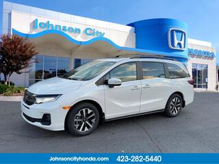 2025 Honda Odyssey for sale in Johnson City TN