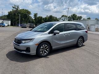 2025 Honda Odyssey for sale in Johnson City TN