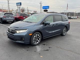 2026 Honda Odyssey for sale in Johnson City TN