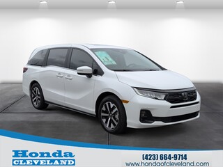 2026 Honda Odyssey for sale in Cleveland TN