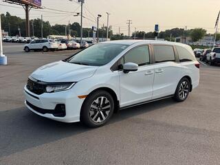 2026 Honda Odyssey for sale in Johnson City TN