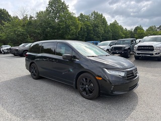 2024 Honda Odyssey for sale in Lexington NC