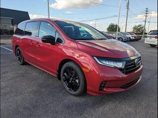 2024 Honda Odyssey for sale in Bowling Green KY