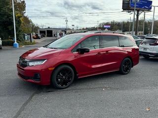 2025 Honda Odyssey for sale in Johnson City TN