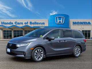 2022 Honda Odyssey for sale in Bellevue NE