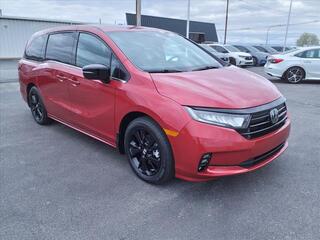 2024 Honda Odyssey for sale in Bowling Green KY