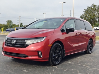 2024 Honda Odyssey for sale in Florence KY