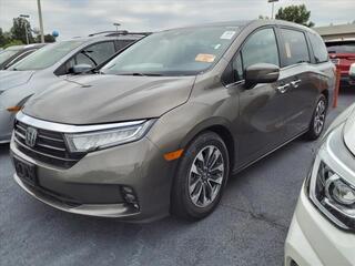 2021 Honda Odyssey for sale in Roanoke VA