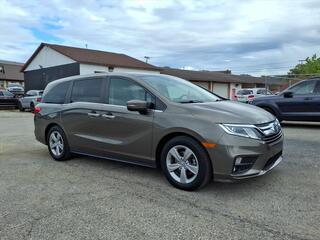 2019 Honda Odyssey