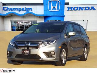 2019 Honda Odyssey for sale in Savoy IL