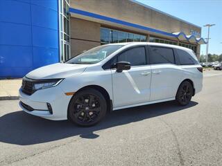 2023 Honda Odyssey for sale in Gallatin TN