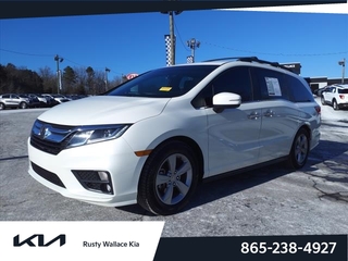 2019 Honda Odyssey for sale in Louisville TN