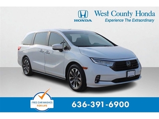 2021 Honda Odyssey for sale in Johnson City TN