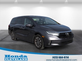 2022 Honda Odyssey for sale in Cleveland TN