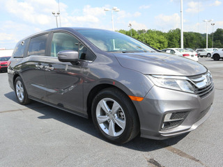 2019 Honda Odyssey for sale in Morristown TN