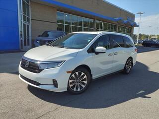 2022 Honda Odyssey for sale in Gallatin TN