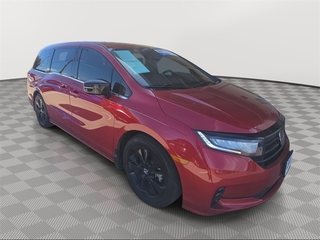 2023 Honda Odyssey for sale in Laredo TX