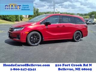 2025 Honda Odyssey for sale in Bellevue NE