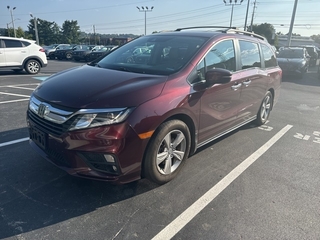 2019 Honda Odyssey for sale in Johnson City TN