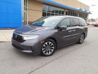 2021 Honda Odyssey for sale in Gallatin TN