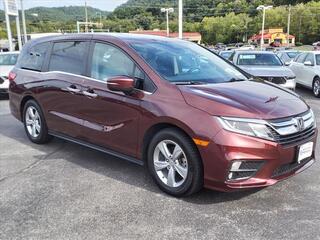 2019 Honda Odyssey for sale in Bristol TN