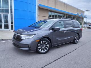 2021 Honda Odyssey for sale in Gallatin TN