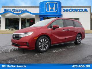 2021 Honda Odyssey for sale in Morristown TN