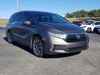 2022 Honda Odyssey for sale in Cleveland TN