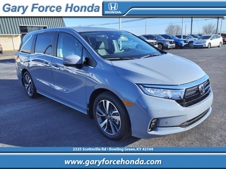 2024 Honda Odyssey for sale in Bowling Green KY