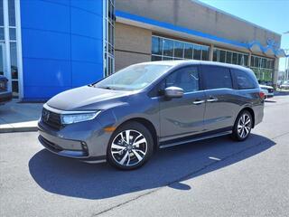 2024 Honda Odyssey for sale in Gallatin TN