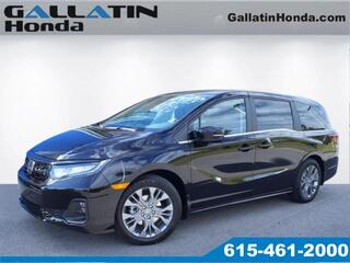 2025 Honda Odyssey for sale in Gallatin TN