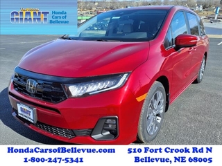 2025 Honda Odyssey for sale in Bellevue NE