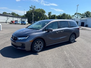 2026 Honda Odyssey for sale in Johnson City TN