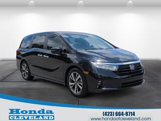 2021 Honda Odyssey for sale in Cleveland TN