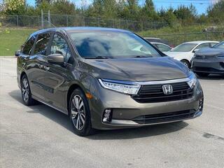 2023 Honda Odyssey for sale in Chattanooga TN