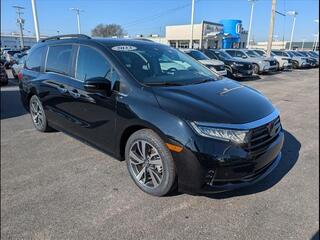 2023 Honda Odyssey for sale in Bowling Green KY