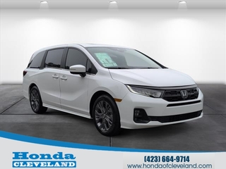 2026 Honda Odyssey for sale in Cleveland TN